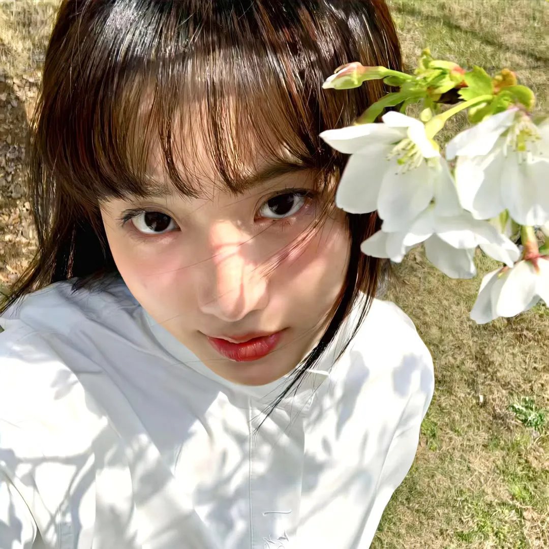疯狂的狮王